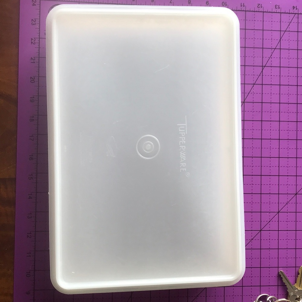 Vintage Tupperware 9x13 container